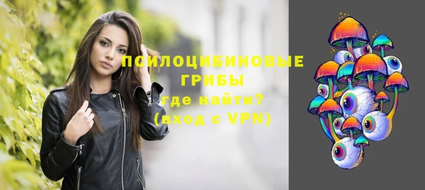 хмурый Покачи