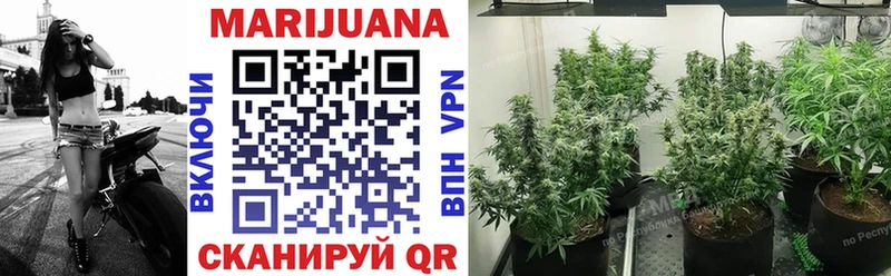 Купить где  Северск  Бошки Шишки семена 